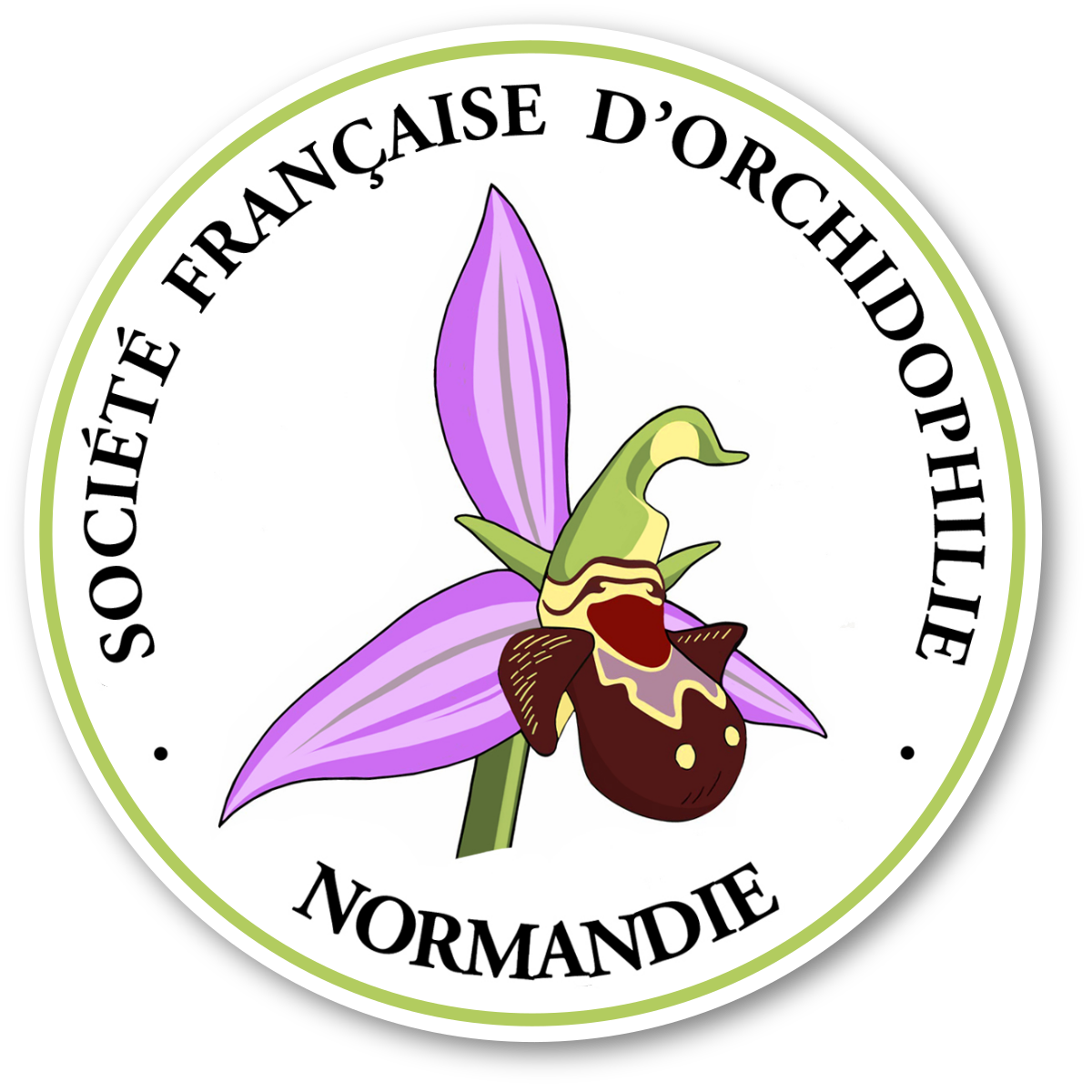 Logo SFO Normandie rond v4
